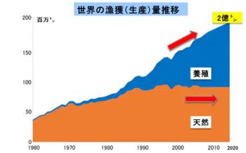 世界の漁獲得ようの推移.JPG